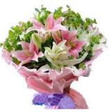 百合花:24枝粉玫瑰，6朵粉百合及米兰外围，手揉纸，纱网高档包装