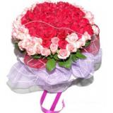 鲜花:红色阳光玫瑰66枝、外围粉色玫瑰33枝、栀子叶外围、红色、淡紫色网纱精美包装、粉色蝴蝶结装饰
