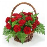 车公庄东花店鲜花:红色康乃馨22枝，芒叶搭配。下面为花篮，内有保鲜花泥。加配蝴蝶结。