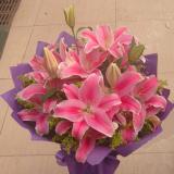 鲜花:红色康乃馨16枝，多头粉百合2枝，幸福草间插，满天星点缀，紫色手揉纸圆形包装
