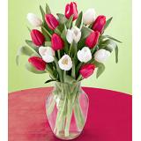 郁金香:红色、白色郁金香共18枝；花瓶插花（季节性鲜花，预定前请先咨询）。