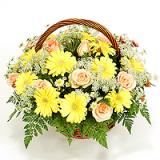 鲜花:6枝黄色百合、配材。高级绿色皱纸包装圆形花束（此花需提前预定）。