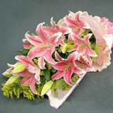 鲜花:99朵粉玫瑰，绿叶围绕，粉色皱纹纸圆形包装，配同色蝴蝶结