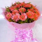 鲜花:20枝红色扶郎，栀子叶间插，淡色卷边纸圆形包装，粉色托底，双色丝带束扎