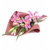 鲜花:12枝粉玫瑰+紫色勿忘我+绿叶+绿色皱纹纸圆形包装+粉色丝带