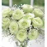 鲜花:白色玫瑰12枝,满天星点缀,设计后置于经典玻璃花瓶中(此花限送市区一级）
