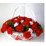礼贤街附近花店鲜花:红色康乃馨26枝，绿叶间插，手提花篮一个