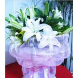 鲜花:白色香水百合6支，黄莺围绕，粉色网纱和皱纹纸包装，精美丝带花点缀
