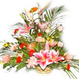 鲜花:红掌、香水百合、黄金鸟、泰国兰、太阳花、玫瑰、剑兰，散尾叶等点缀。1.8米高档花篮