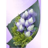 鲜花:33朵紫色玫瑰花扇形紫色包装