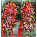 花篮:22枝红玫瑰，栀子叶，手揉纸双层包装，时尚的宽丝带花结，造型简洁大方