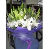 鲜花:12枝多头白色香水百合，情人草点缀。紫色包装，紫色绵纸系花 ，粉红色蝴蝶结。