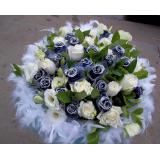 鲜花:11支蓝玫瑰+1枝白香水百合,黄莺绿叶点缀,蓝色皱纹纸扇面包装(此花需提前预定）。