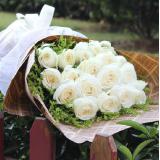 白玫瑰:白色多头香水百合22枝，米兰、满天星适量。草绿色邹纹纸，纱网圆形包装。